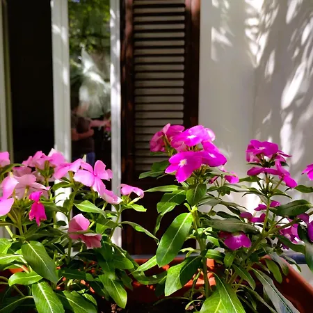 Daire Domus Vetriera Palermo