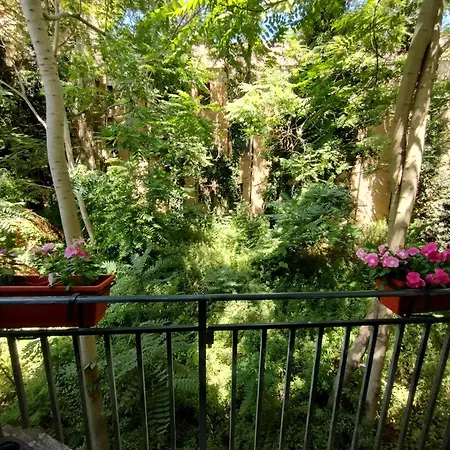 Daire Domus Vetriera *